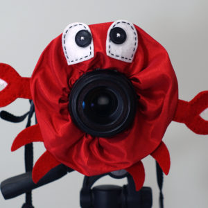 Red Crab Camera Puppet Child Photography Prop